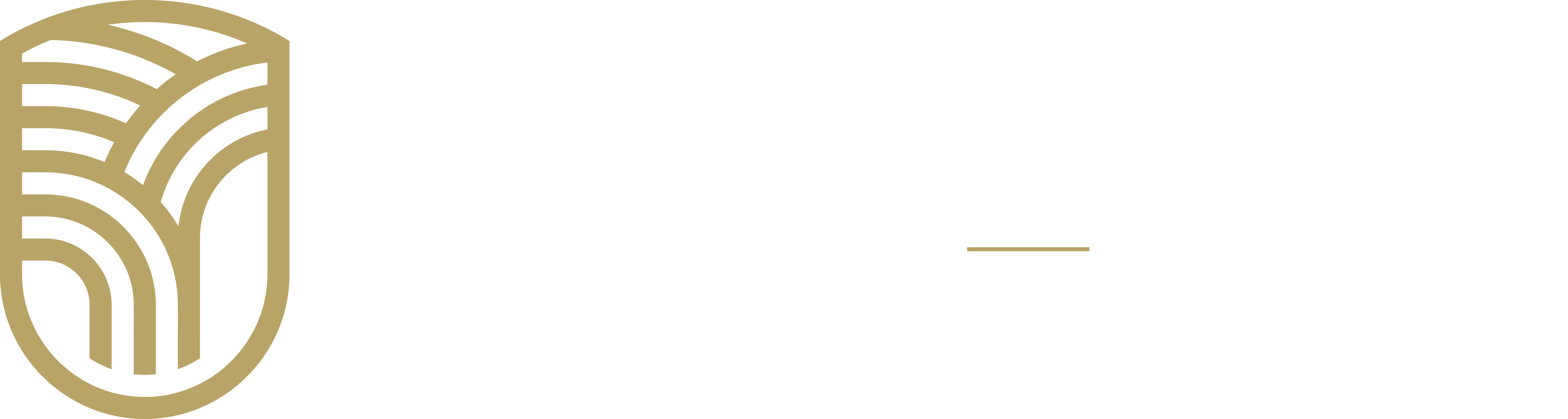 LOGOMARCA BAUM ADVOCACIA horizontal branco.png